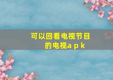 可以回看电视节目的电视a p k